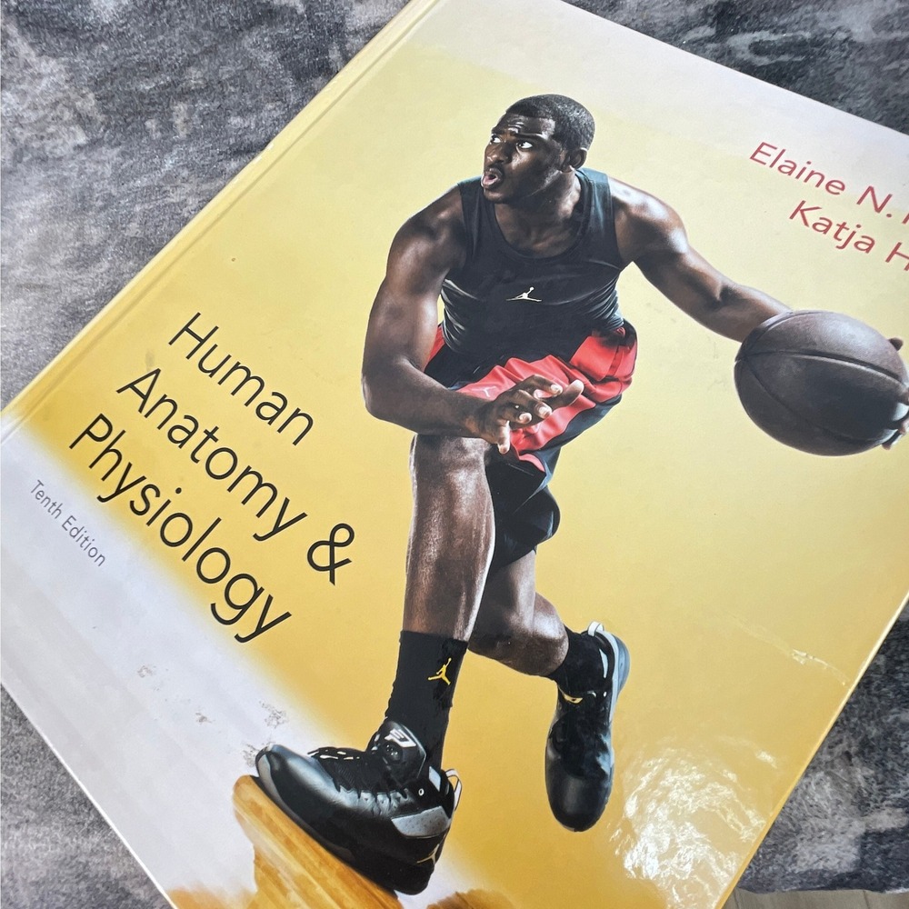 Human Anatomy & Physiology 10th Edition Marieb Hoehn Pearson Textbook Chris Paul
